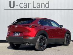 �ãءݣ��� ���������أġ��֥�å������쥯����󡡥ǥ������륿���� 0703112A20251222Z002 2