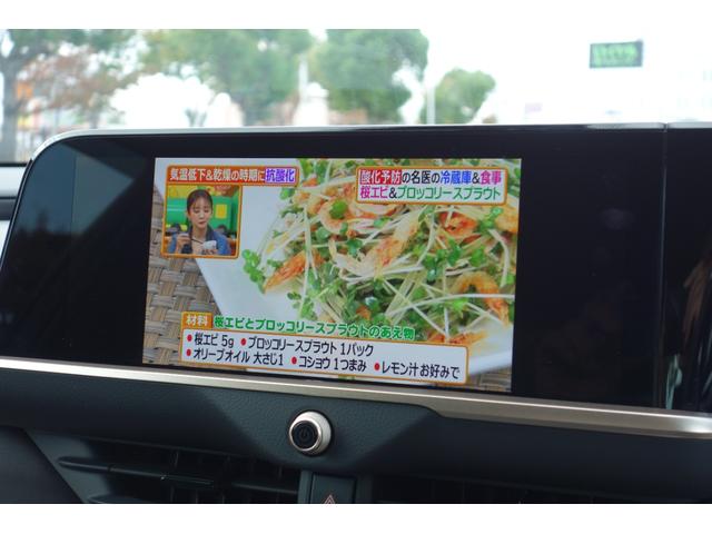 クラウンクロスオーバー RS ランドスケープ 期間限定販売/専用色ブラック・アーバンカーキ/リベット止めオーバーフェンダー/レッドマッドガード/トーイングヒッチ/専用デザインアルミ/オールテレインタイヤ/走行320K/ディーラー保証(54枚目)