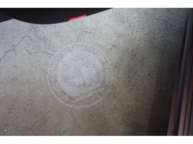 ���S�J�[�e�V�[�����v