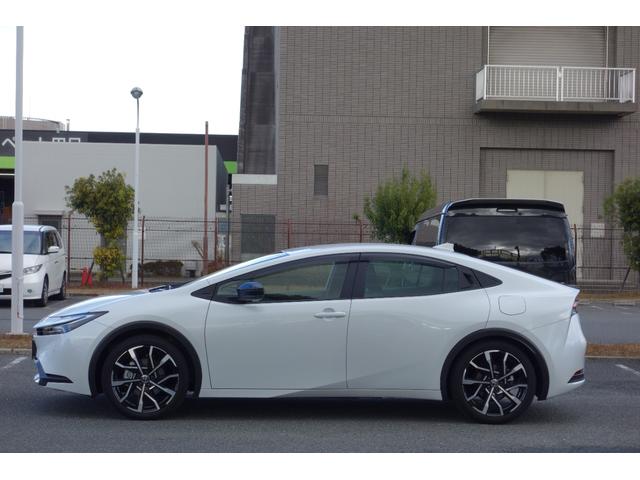 �{�f�B�[�J���[�́A�v���`�i�z���C�g�p�[���ł�