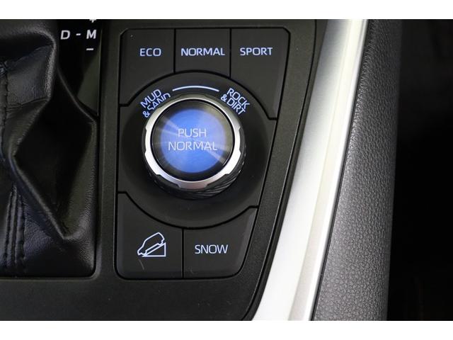 ＲＡＶ４ アドベンチャー　リヤカメラ　アルミ　クルーズＣ　ナビテレビ　ＬＥＤライト　イモビ　地デジ　ＥＳＣ　スマキー　ＰＳ　ＥＴＣ付き　ドラレコ付き　エアコン　４ＷＤ車　電動パワーシート　パワーウインドウ　サイドエアバッグ（19枚目）