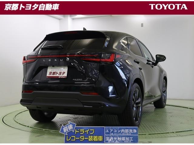 ＮＸ ＮＸ２５０　バージョンＬ　衝突軽減Ｂ　フルセグテレビ　Ｂモニター　本革シート　Ｐシート　ミュージックプレイヤー接続可　アルミホイール　メモリーナビ　ＬＥＤヘッドランプ　ナビＴＶ　パノラマガラスルーフ　記録簿　スマートキー　ＡＣ（3枚目）