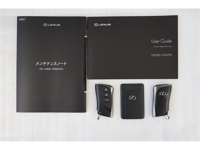 ＮＸ ＮＸ２５０　バージョンＬ　衝突軽減Ｂ　フルセグテレビ　Ｂモニター　本革シート　Ｐシート　ミュージックプレイヤー接続可　アルミホイール　メモリーナビ　ＬＥＤヘッドランプ　ナビＴＶ　パノラマガラスルーフ　記録簿　スマートキー　ＡＣ（38枚目）
