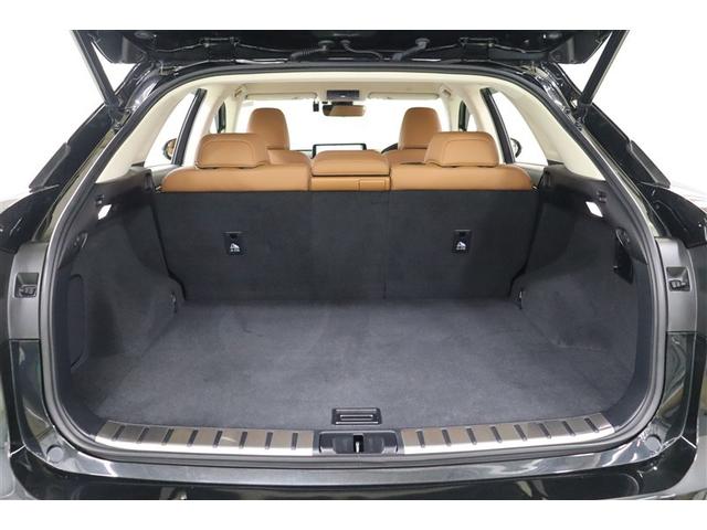 ＲＸ ＲＸ３００　衝突軽減ブレーキ　黒革シート　記録簿　バックモニター　ＤＶＤ　エアバッグ　横滑り防止機能　ナビＴＶ　キーレス　ミュージックプレイヤー接続可　パワーシート　メモリーナビ　ＡＢＳ　アイドリングストップ（32枚目）