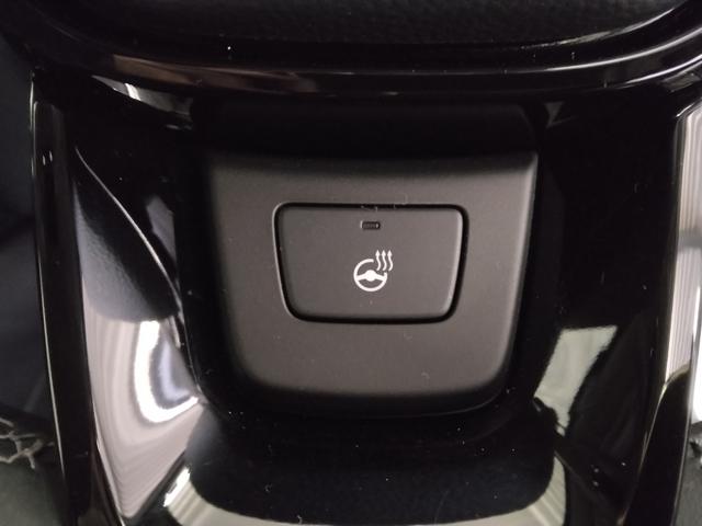 �X�e�A�����O�q�[�^�[�𑕔����Ă��܂��I