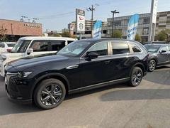 �֤�����ʪ�Τ褦����̿���򴶤������롢ư���Τ���ֺ�ư�ץǥ�������̿�����դ��ɽ��Υե���ȥޥ����ȡ��ե���Ȥ�����ޤǤ��ä�����̤ä����Ǥɤ����鸫�Ƥ���þ�Τʤ��ǥ�����򤷤Ƥ��ޤ��� 7