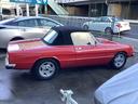 ALFA ROMEO ALFA SPIDER