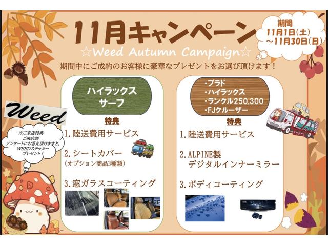 ハイラックスサーフ ＳＳＲ－Ｘ　４Ｒｕｎｎｅｒスタイル　ＮＥＷペイント　点検交換整備済み　リフトアップ　１６インチＡＷ　ＢＦグッドリッチ　ＴＯＹＯＴＡグリル　レトロキャメルシートカバー　ナビ　ＥＴＣ　ガラスコーティング（4枚目）