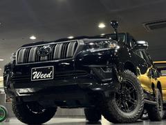 ɥ롼ץ ԣء̥ѥåޥåȥ֥åǥ󡡣ͣ⥳ץ꡼ȡ 0703269A30251101W001 6