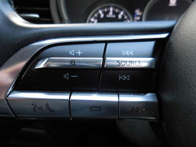 CX-30 2.0 20S ETC フルセグTV LEDヘッドライト(12枚目)