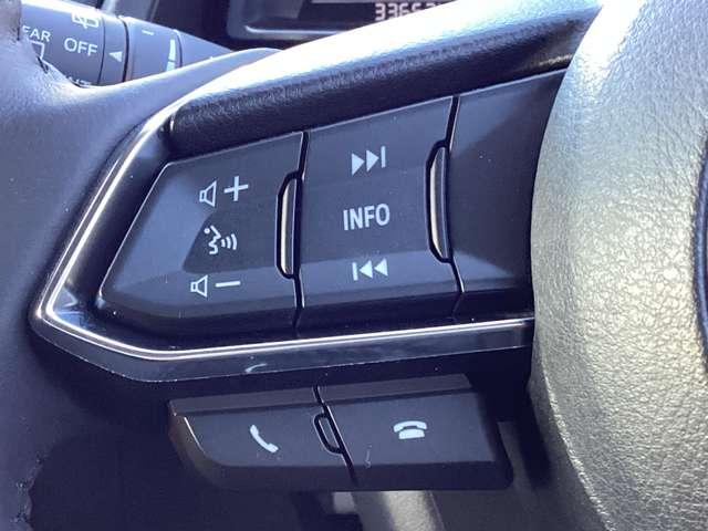 デミオ １．３　１３Ｓ　ツーリング　衝突被害軽減ブレーキ　ＥＴＣ車載器　マツダコ（13枚目）