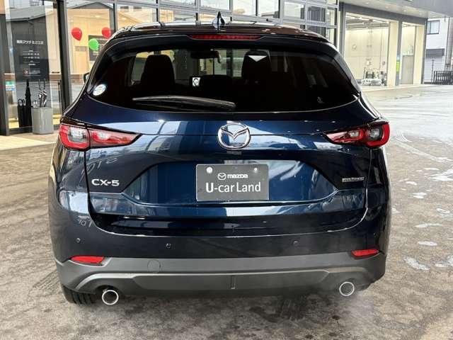 ���A�f�U�C���́A�򊴂̂���{�f�B�T�C�h�Ƃ���ɑΔ䂳����L�т₩�ȃL���r����A�V���[�g�I�[�o�[�n���O���ɂ��A���݊��̂���v���|�[�V�������������܂����B