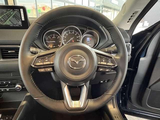 ���[�_�[���N���[�Y�R���g���[�����̗p���Ă���A�������^�]�����������K�ł��B