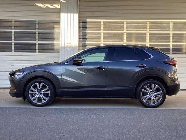 �����A���~�őS�̓I�Ƀf�U�C�����܂Ƃ܂��Ă��܂��B�Ԃ��l���A�I�V�����͂܂��͑�������ł��ˁB