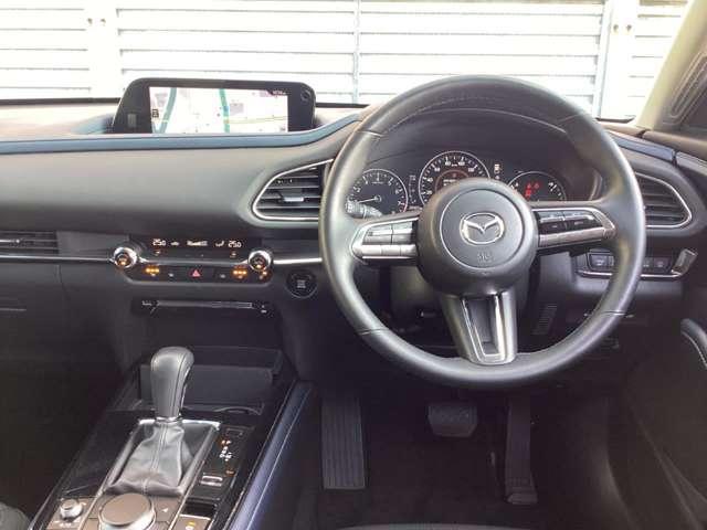 �ו��ɂ܂ŋ@�\���Ƒ��`����ǋ�����������ԁB�����������ł��A�@�\�I�Ȃ����ł��Ȃ��B�i�i�����l�̃C���e���A�f�U�C���ł��B