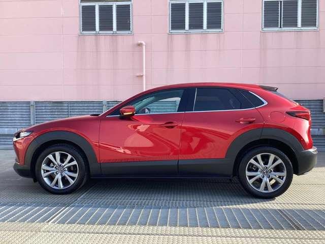 �����A���~�őS�̓I�Ƀf�U�C�����܂Ƃ܂��Ă��܂��B�Ԃ��l���A�I�V�����͂܂��͑�������ł��ˁB