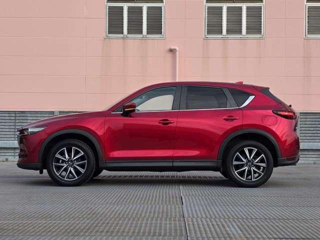 �����A���~�őS�̓I�Ƀf�U�C�����܂Ƃ܂��Ă��܂��B�Ԃ��l���A�I�V�����͂܂��͑�������ł��ˁB