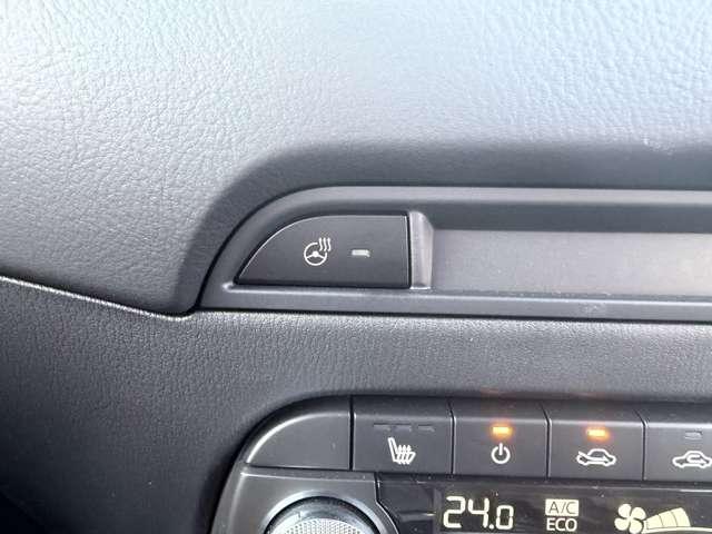 ＣＸ－５ ＸＤ　ＲＥＴＲＯ　ＳＰ　ＥＤＴ　デモカーアップ車（15枚目）