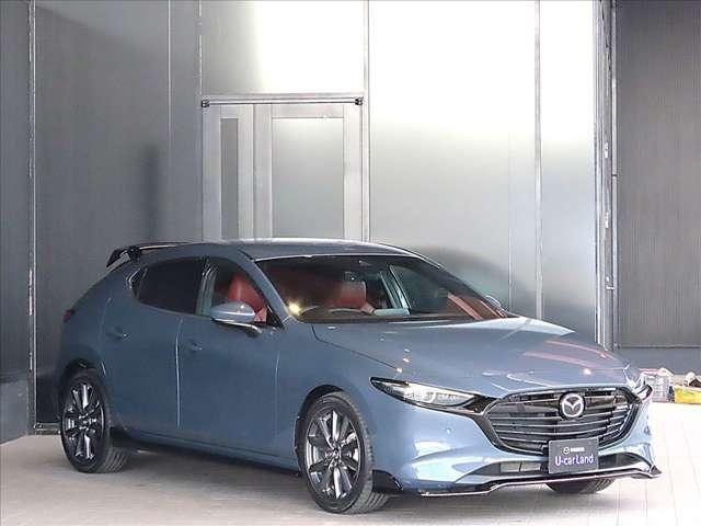 �Ԃɐ������̂悤�Ȑ�����������������A�����̂���u�����v�f�U�C���@���������ӂ��\��̃t�����g�}�X�N�ƁA�t�����g���烊���܂ł�������ƒʂ������łǂ����猩�Ă��j�]�̂Ȃ��f�U�C�������Ă��܂��I