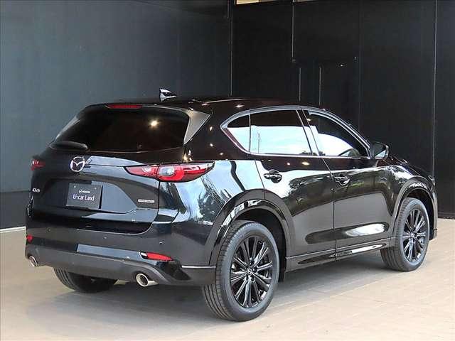 ���₩�ȋȖʂō\�����ꂽ�������{�f�B���C�������͂ł��B���f�I�ȐF�C��������Ǝ��̑��݊�������܂��B�T�C�h�p�l���ɉf�荞�ތi�F�́A���Ȃ�����{�뉀�̎،i�̂悤�Ȏ�������܂���������