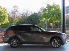 �����������ؤˤ��ǥ���������äζ����������Τ�̥λ����ã�-�����Υ����ɥѥͥ�Ǥ�������Ū�ʥѥͥ�����ʤ��Ǥ�����ͤϡ����ʤ�����������μڷʤˤ褦�ʼ�򴶤��ޤ��������� 4