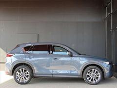 �����������ؤˤ��ǥ���������äζ����������Τ�̥λ����ã�-���Υ����ɥѥͥ�Ǥ�������Ū�ʥѥͥ�����ʤ��Ǥ�����ͤϡ����ʤ�����������μڷʤˤ褦�ʼ�򴶤��ޤ��������� 6