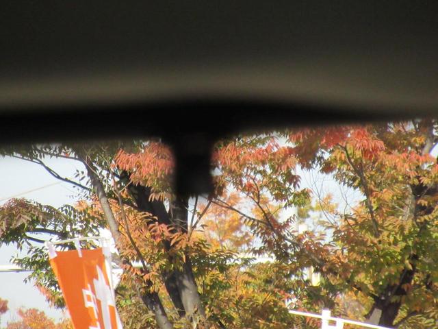 �Q��ڃv���~�A���N���[�h���V�[�g�@�����p���[�X���C�h�h�A�@�Ǔ˔�Q�y���u���[�L�@�։��ԁ@�I�[�g�k�d�c�w�b�h���C�g�@�����C���^�[�i�r�@�T�C�h�G�A�o�b�O�@�X�}�[�g�L�[�Q�@�O���h�����R�@�o�b�N�b�@�d�s�b