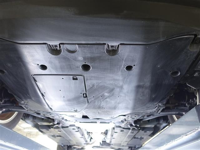 �t�����g�������L�Y�����Ȃ��A�ǍD�ȏ�ԂƂȂ��Ă���܂��B