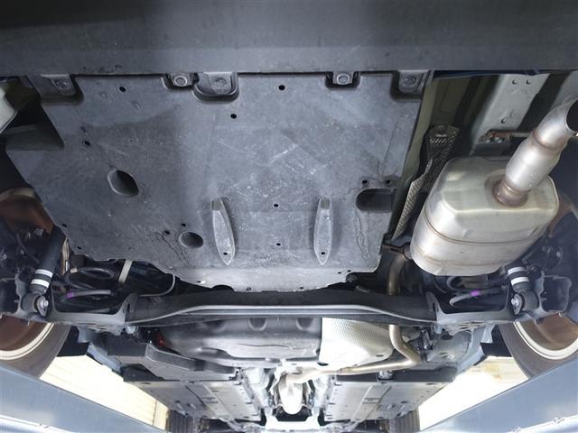 �����̉������K�╅�H���Ȃ����ꂢ�ȏ�Ԃł��B�܂��܂����S���Ă���肢�������܂��B