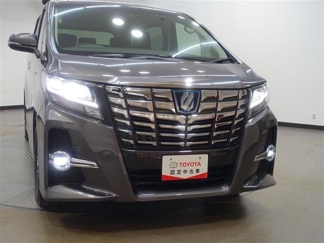 �k�d�c�w�b�h���C�g���ڂŖ铹�����S���đ��ꂿ�Ⴂ�܂��B