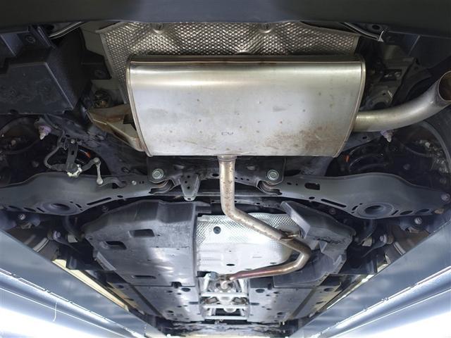 �����̉������K�╅�H���Ȃ����ꂢ�ȏ�Ԃł��B�܂��܂����S���Ă���肢�������܂��B