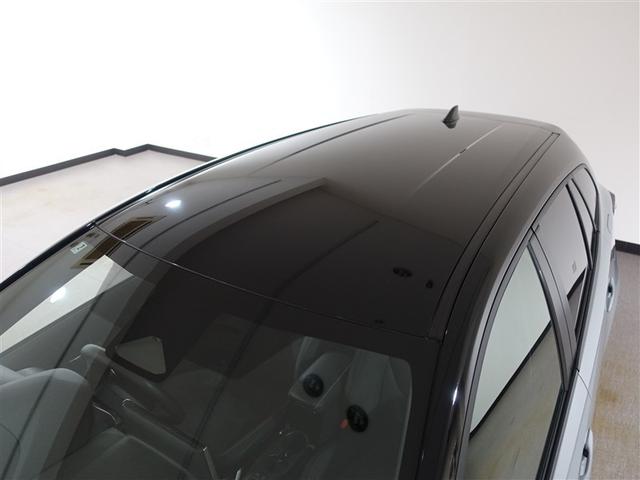 �c�[�g���J���[�ł��̂łƂĂ��������Ɍ����܂��ˁ�