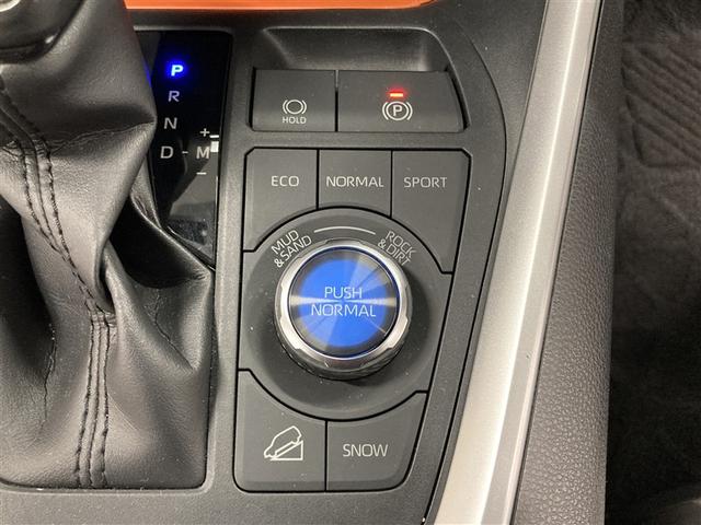 ＲＡＶ４ アドベンチャー　サンルーフ　４ＷＤ　ミュージックプレイヤー接続可　バックカメラ　衝突被害軽減システム　ＥＴＣ　ドラレコ　ＬＥＤヘッドランプ（24枚目）