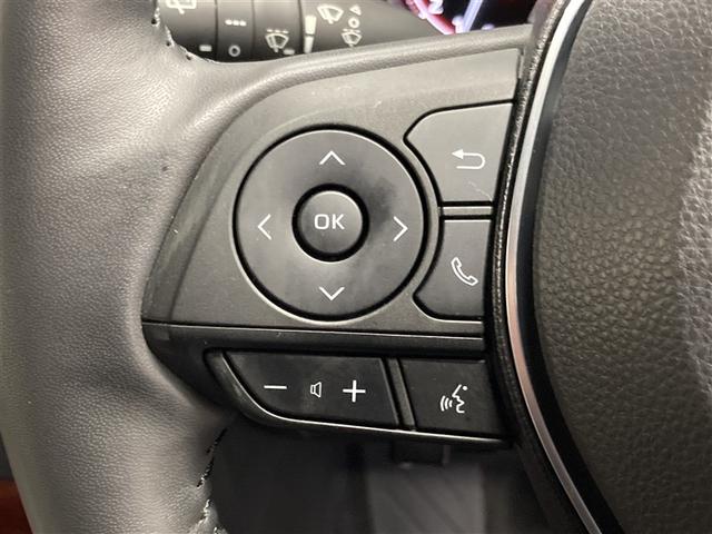 RAV4 アドベンチャー 4WD ミュージックプレイヤー接続可 バックカメラ 衝突被害軽減システム ETC LEDヘッドランプ(19枚目)