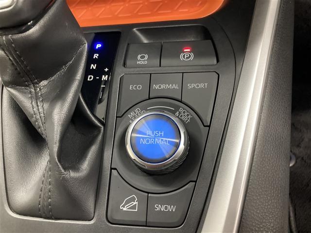 RAV4 アドベンチャー 4WD ミュージックプレイヤー接続可 バックカメラ 衝突被害軽減システム ETC LEDヘッドランプ(27枚目)