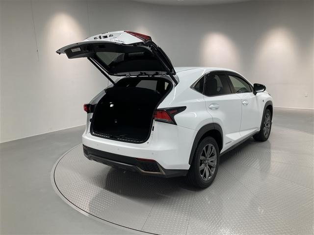 NX NX300h Fスポーツ 革シート サンルーフ フルセグ メモリーナビ DVD再生 ミュージックプレイヤー接続可 バックカメラ 衝突被害軽減システム ETC LEDヘッドランプ(8枚目)