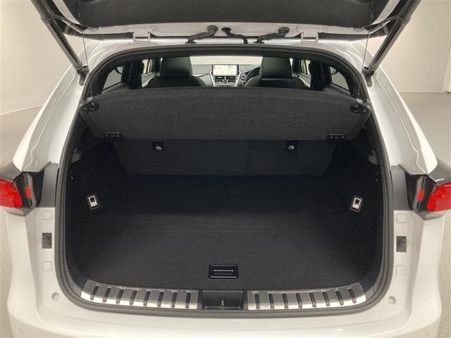 NX NX300h Fスポーツ 革シート サンルーフ フルセグ メモリーナビ DVD再生 ミュージックプレイヤー接続可 バックカメラ 衝突被害軽減システム ETC LEDヘッドランプ(9枚目)