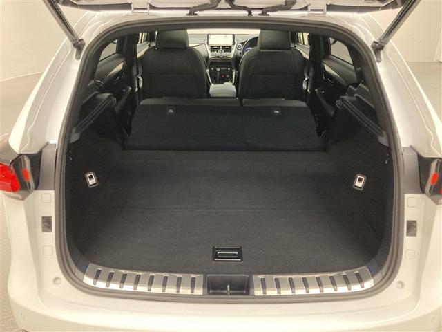 NX NX300h Fスポーツ 革シート サンルーフ フルセグ メモリーナビ DVD再生 ミュージックプレイヤー接続可 バックカメラ 衝突被害軽減システム ETC LEDヘッドランプ(10枚目)