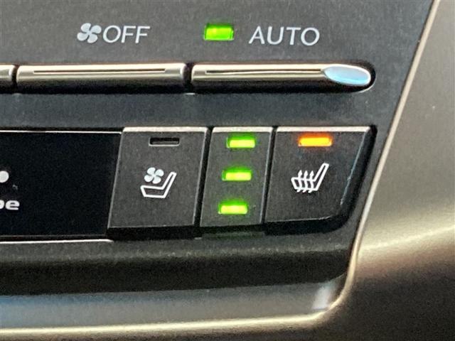 NX NX300h Fスポーツ 革シート サンルーフ フルセグ メモリーナビ DVD再生 ミュージックプレイヤー接続可 バックカメラ 衝突被害軽減システム ETC LEDヘッドランプ(28枚目)