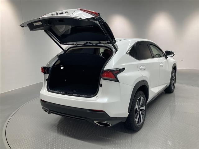 NX NX300 Iパッケージ サンルーフ フルセグ メモリーナビ DVD再生 ミュージックプレイヤー接続可 バックカメラ 衝突被害軽減システム ETC ドラレコ LEDヘッドランプ ワンオーナー アイドリングストップ(9枚目)