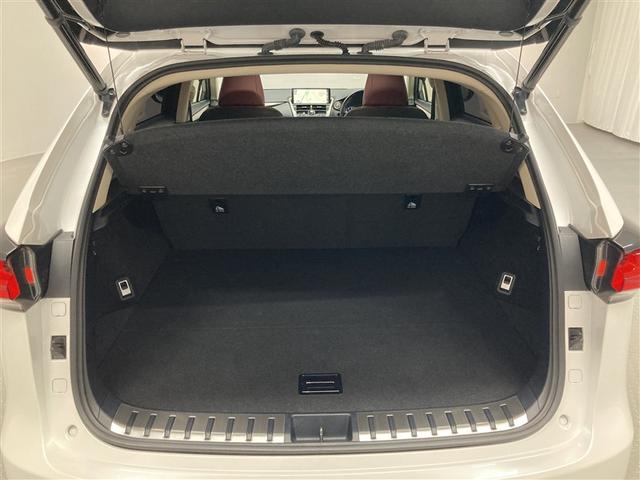 NX NX300 Iパッケージ サンルーフ フルセグ メモリーナビ DVD再生 ミュージックプレイヤー接続可 バックカメラ 衝突被害軽減システム ETC ドラレコ LEDヘッドランプ ワンオーナー アイドリングストップ(10枚目)