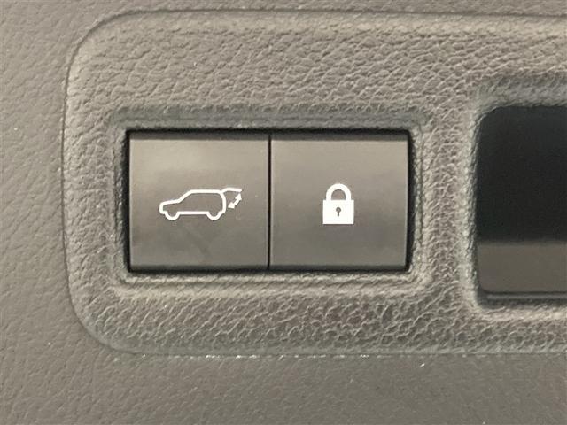 NX NX300 Iパッケージ サンルーフ フルセグ メモリーナビ DVD再生 ミュージックプレイヤー接続可 バックカメラ 衝突被害軽減システム ETC ドラレコ LEDヘッドランプ ワンオーナー アイドリングストップ(12枚目)