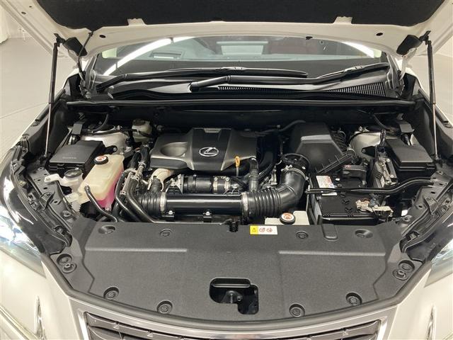 NX NX300 Iパッケージ サンルーフ フルセグ メモリーナビ DVD再生 ミュージックプレイヤー接続可 バックカメラ 衝突被害軽減システム ETC ドラレコ LEDヘッドランプ ワンオーナー アイドリングストップ(37枚目)