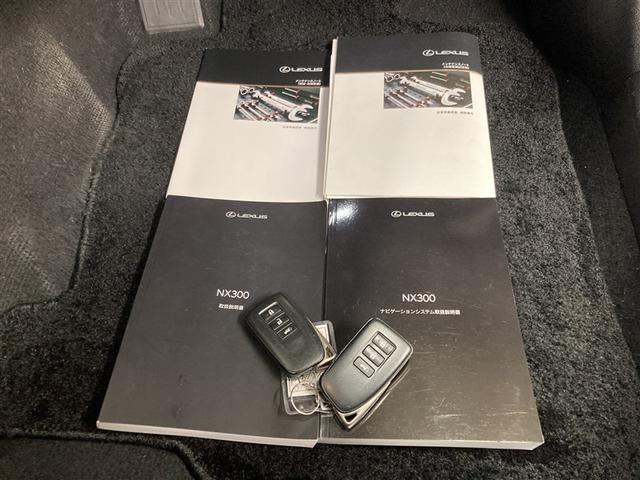 NX NX300 Iパッケージ サンルーフ フルセグ メモリーナビ DVD再生 ミュージックプレイヤー接続可 バックカメラ 衝突被害軽減システム ETC ドラレコ LEDヘッドランプ ワンオーナー アイドリングストップ(38枚目)