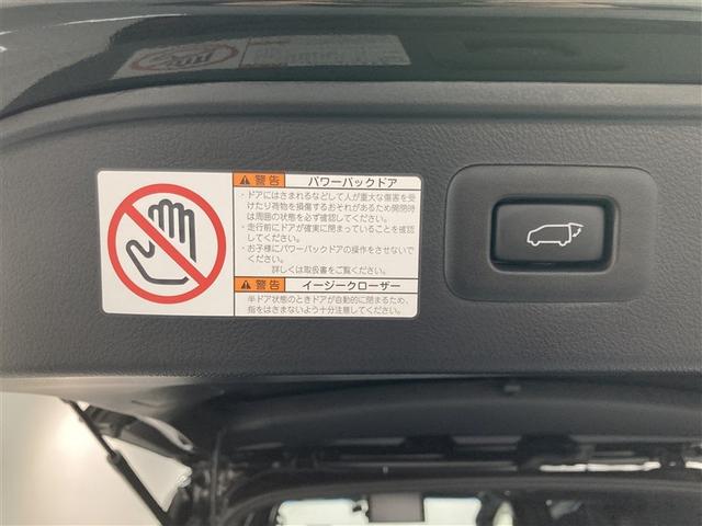 アルファード ２．５Ｓ　タイプゴールド　サンルーフ　ミュージックプレイヤー接続可　後席モニター　バックカメラ　衝突被害軽減システム　ＥＴＣ　両側電動スライド　ＬＥＤヘッドランプ　乗車定員７人　３列シート　ワンオーナー（10枚目）