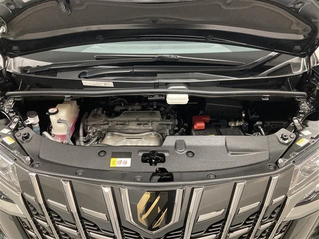 アルファード ２．５Ｓ　タイプゴールド　サンルーフ　ミュージックプレイヤー接続可　後席モニター　バックカメラ　衝突被害軽減システム　ＥＴＣ　両側電動スライド　ＬＥＤヘッドランプ　乗車定員７人　３列シート　ワンオーナー（33枚目）