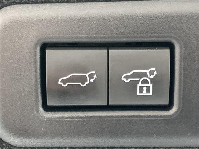 ＲＸ ＲＸ３００　バージョンＬ　革シート　サンルーフ　４ＷＤ　フルセグ　メモリーナビ　ＤＶＤ再生　ミュージックプレイヤー接続可　バックカメラ　衝突被害軽減システム　ＥＴＣ　ＬＥＤヘッドランプ　アイドリングストップ（12枚目）