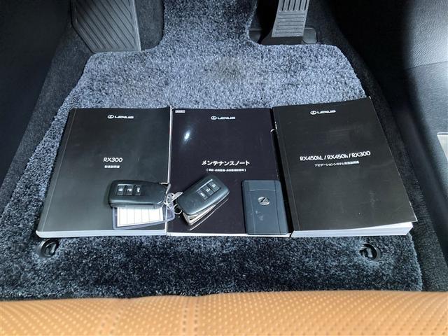 ＲＸ ＲＸ３００　バージョンＬ　革シート　サンルーフ　４ＷＤ　フルセグ　メモリーナビ　ＤＶＤ再生　ミュージックプレイヤー接続可　バックカメラ　衝突被害軽減システム　ＥＴＣ　ＬＥＤヘッドランプ　アイドリングストップ（38枚目）