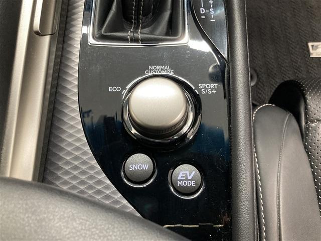 ＧＳ ＧＳ３００ｈ　Ｆスポーツ　革シート　フルセグ　メモリーナビ　ＤＶＤ再生　ミュージックプレイヤー接続可　バックカメラ　衝突被害軽減システム　ＥＴＣ　ＬＥＤヘッドランプ　ワンオーナー　フルエアロ（24枚目）