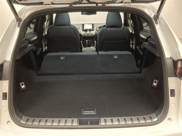 ＮＸ ＮＸ２００ｔ　Ｆスポーツ　革シート　サンルーフ　フルセグ　メモリーナビ　ＤＶＤ再生　ミュージックプレイヤー接続可　バックカメラ　衝突被害軽減システム　ＥＴＣ　ＬＥＤヘッドランプ　アイドリングストップ（11枚目）